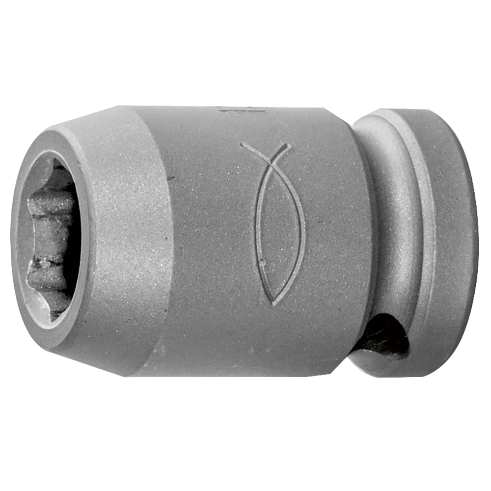 p g stecknuss z f sall app v1